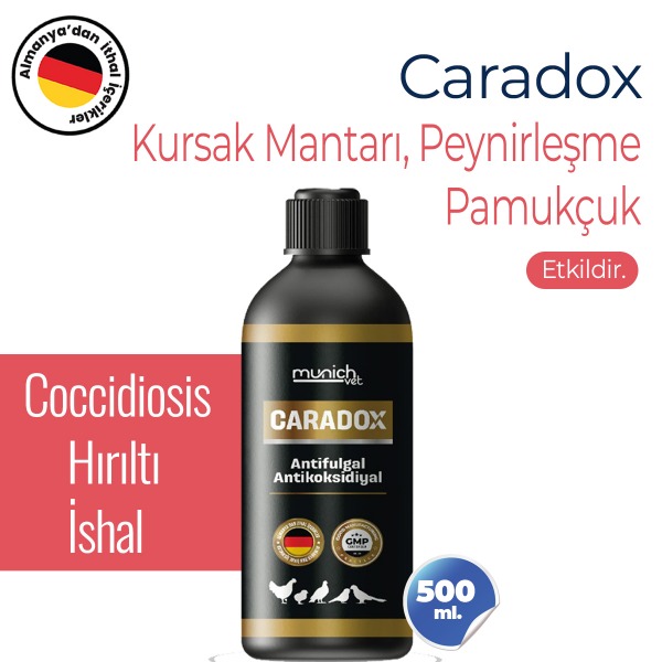 Caradox Kursak mantarı Peynirleşme Pamukcuk Hırıltı Kanatlı Bakım Ürünü 500ml