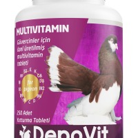 Multivitamin Tablet