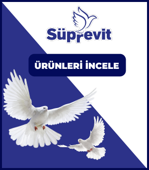 Süprevit