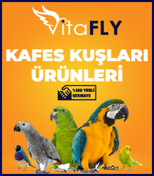 VİTAFLY